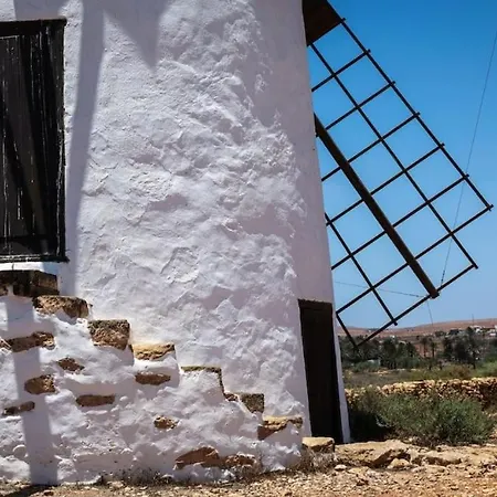 Historica Con Molino De Viento Willa *